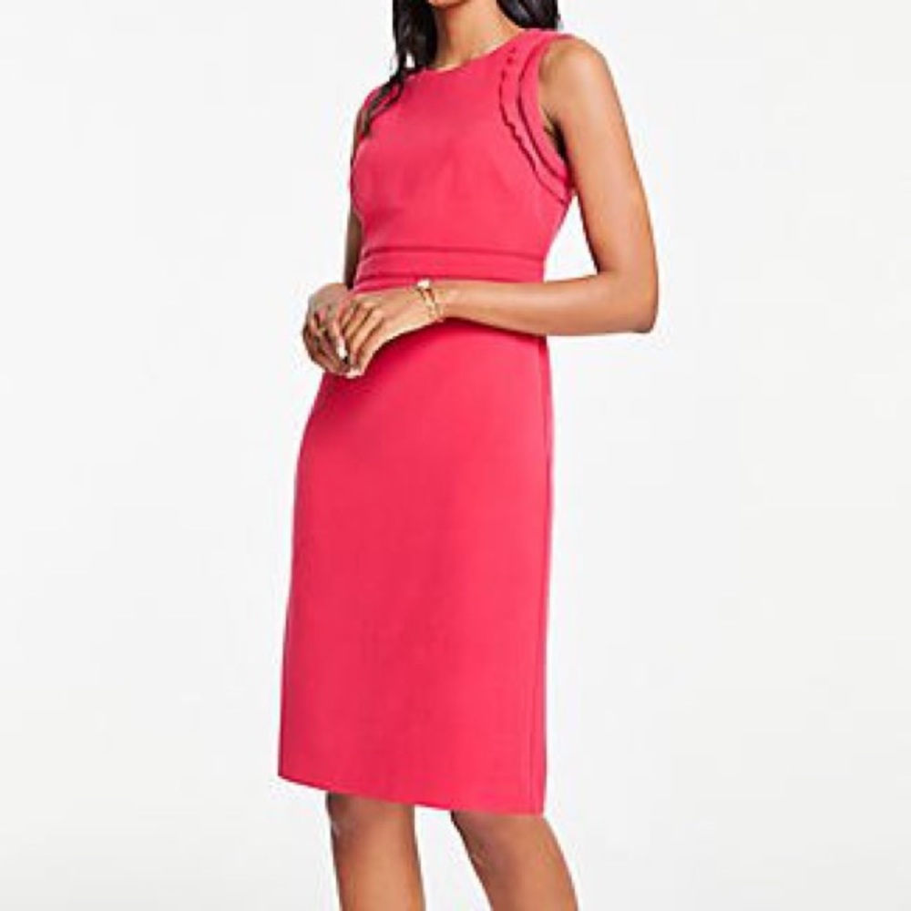 Ann Taylor Eyelet Ruffle Doubleweave Sheath Dress In Bollywood Pink, 6P